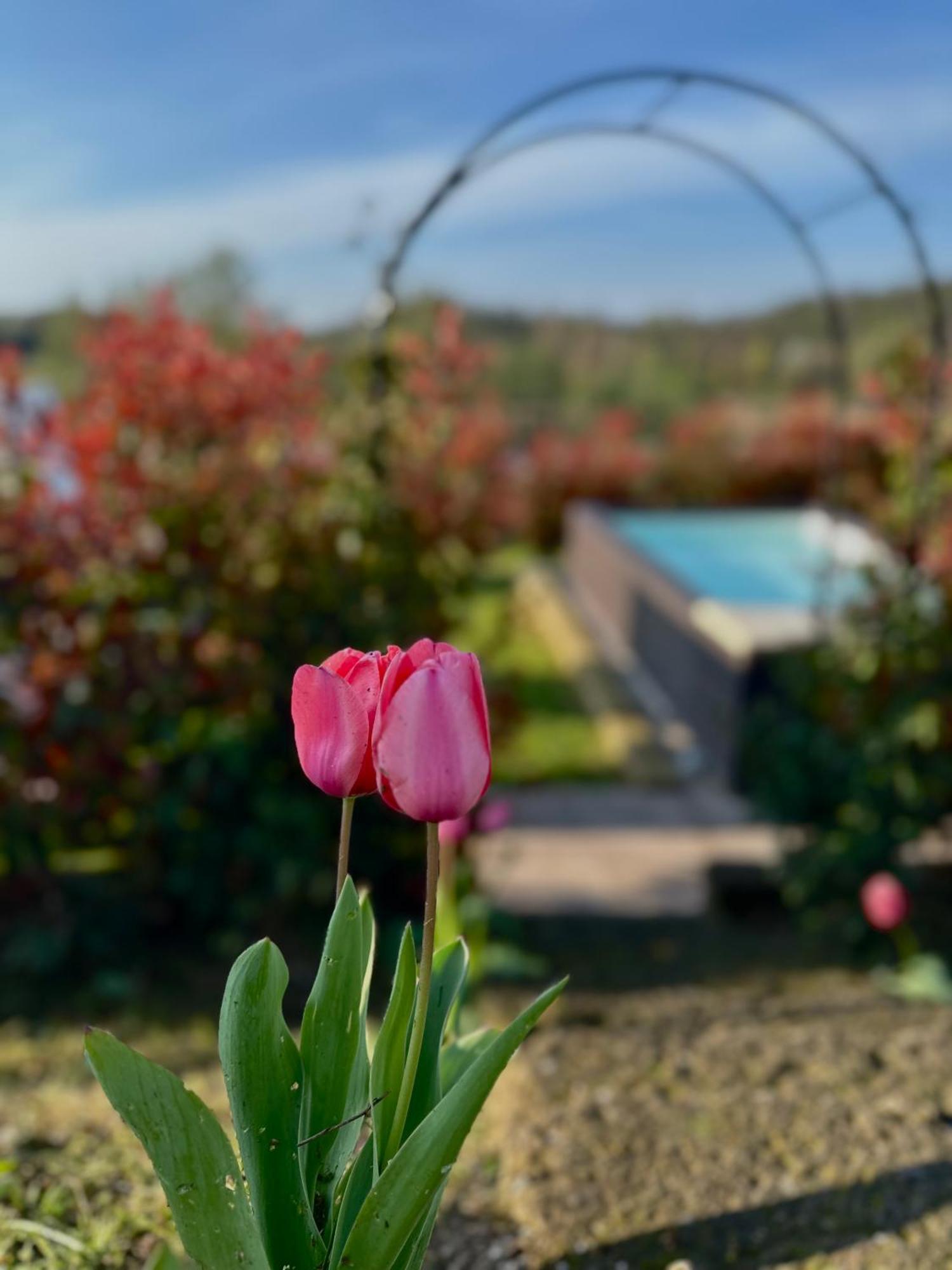 Holiday Home Sovenigo Puegnago Zewnętrze zdjęcie